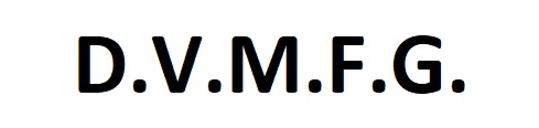 D.v.m.f.g. Societa' A Responsabilita' Limitata Semplificata