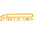 Pellicioli Duilio Gianni