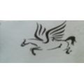Pegaso Security Di Rogai Leonardo