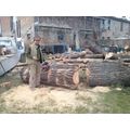 Edil Fabbro Di Gizzi Mario