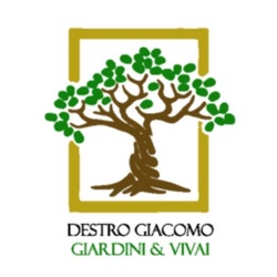 Destro Giacomo