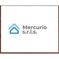 Mercurio S.r.l.s.