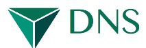 Dns Srl