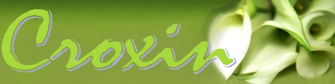 Croxin