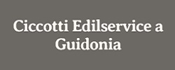 Ciccotti Edilservice S.r.l.