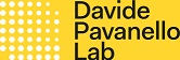 Davide Pavanello Lab