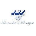 Ibi Srl