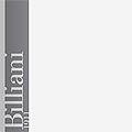 Billiani Srl