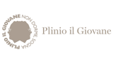Plinio Il Giovane