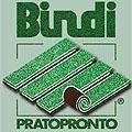 Bindi Secondo Srl