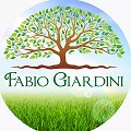 Fabio Giardini
