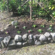 Giardinaggio Dal Col Mario