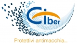 Ciber Srl