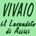 Vivaio Il Lavandeto Di Assisi
