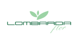 Lombarda Flor