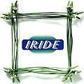 Iride Window Films Srl