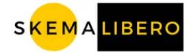 Skema Libero S.r.l.