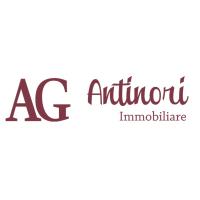 Antinori Immobiliare