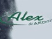 Alex Giardini