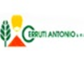 Cerruti Antonio