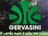 Gervasini