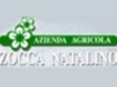 Zocca Natalino