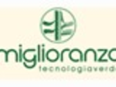 Vivai Miglioranzo
