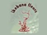 Ikebana Fleurs