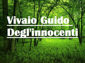 Vivaio Guido Degl'Innocenti