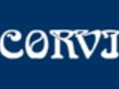 Corvi