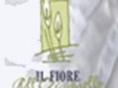 Il Fiore All'Occhiello