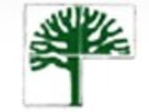 Salerno Verde