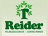 Reider