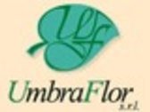 Umbraflor