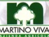 Martino Vivai