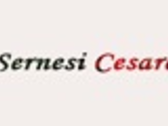 Sernesi Cesare