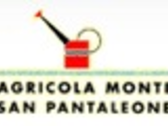 Agricola Monte San Pantaleone