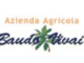 Baudo Vivai
