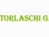 Torlaschi