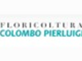 Colombo Pierluigi