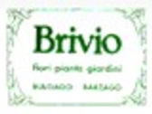 Azienda Agricola Florovivaistica Brivio