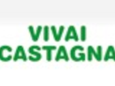 Vivai Castagna