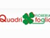 Quadrifoglio