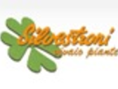 Silvestroni Stefano