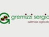 Sergio Gremizzi