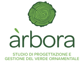 Studio Arbora