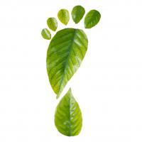Green Energie S.r.l.