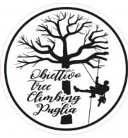 Obiettivo Treeclimbing Puglia Di Marco Palumbo