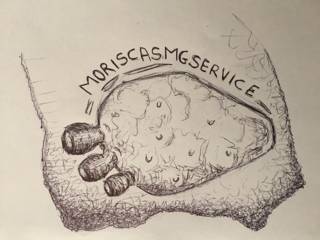 Moriscas Mg Service Srls