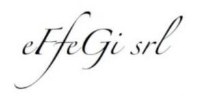 Effegi Srl
